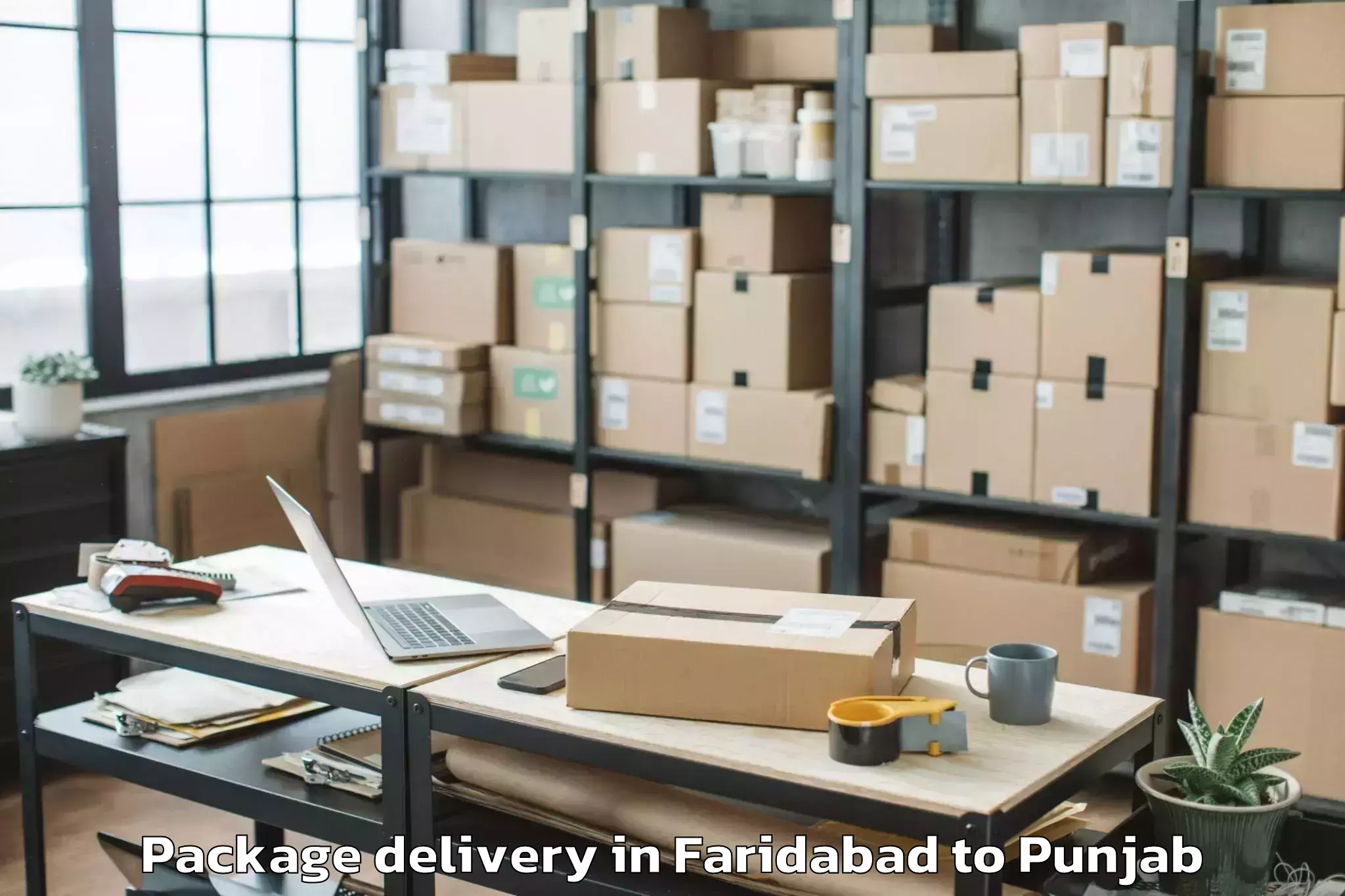 Quality Faridabad to Dhuri Package Delivery